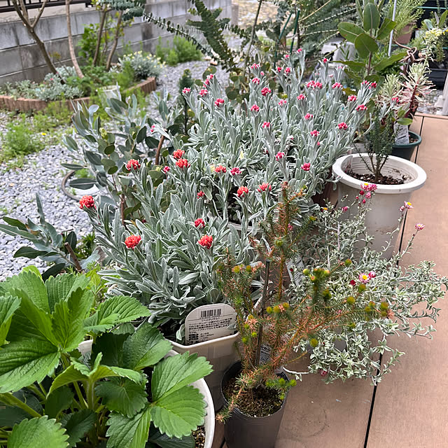 wataroomlifeさんの部屋