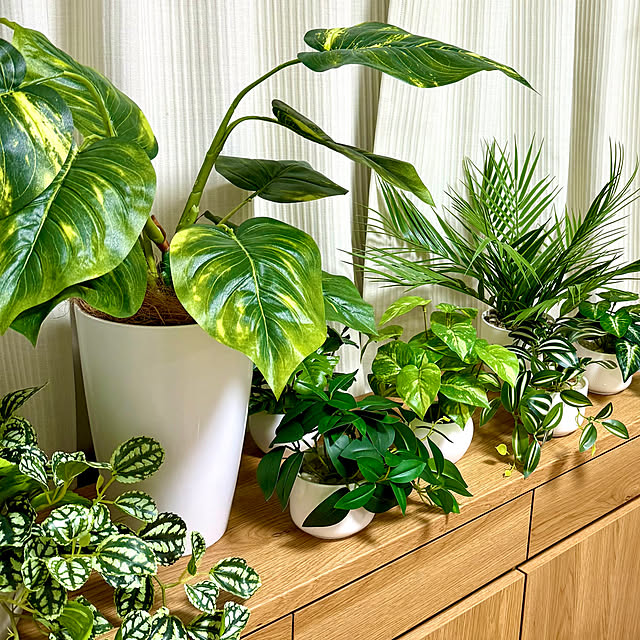 sakura-51さんの実例写真