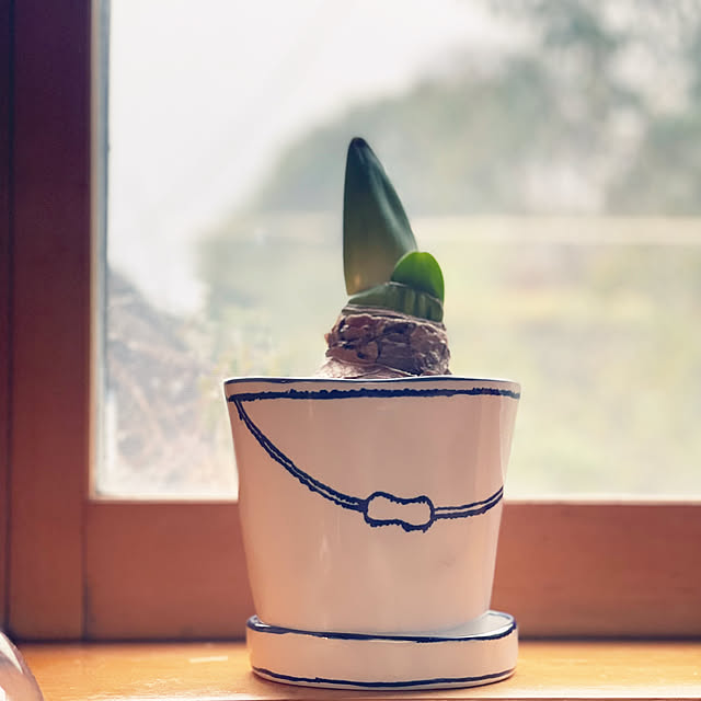 kabu10さんの実例写真