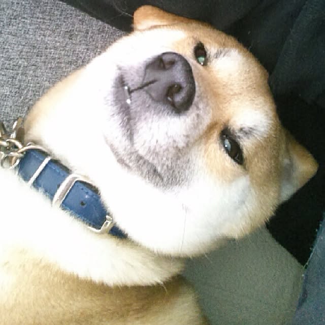 kotaさんの実例写真