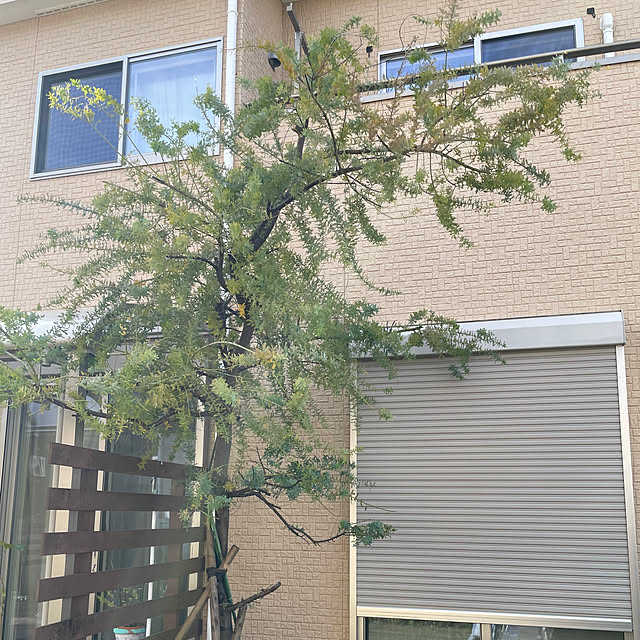 t-famさんの部屋