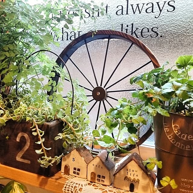 slow-lifeさんの実例写真