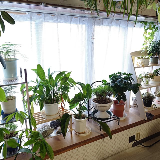 rieさんの部屋