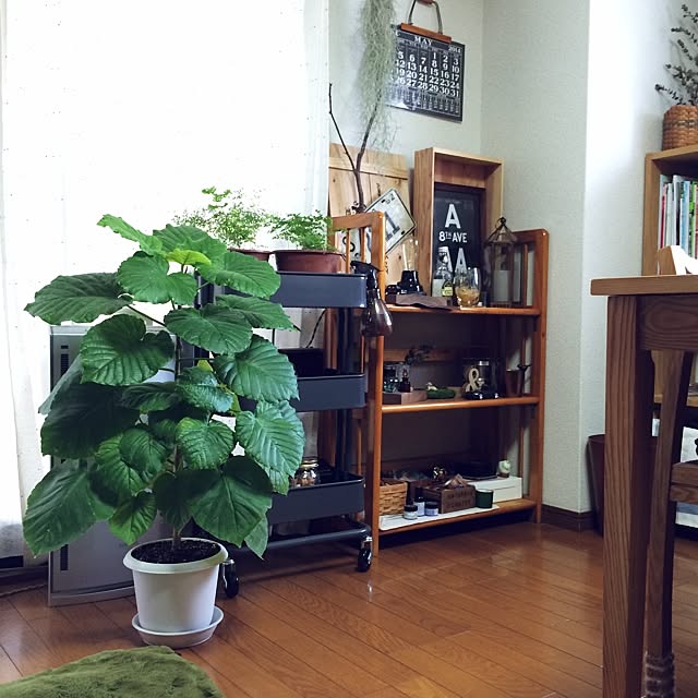 lovelinさんの実例写真