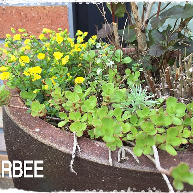 HERBEEさんの実例写真