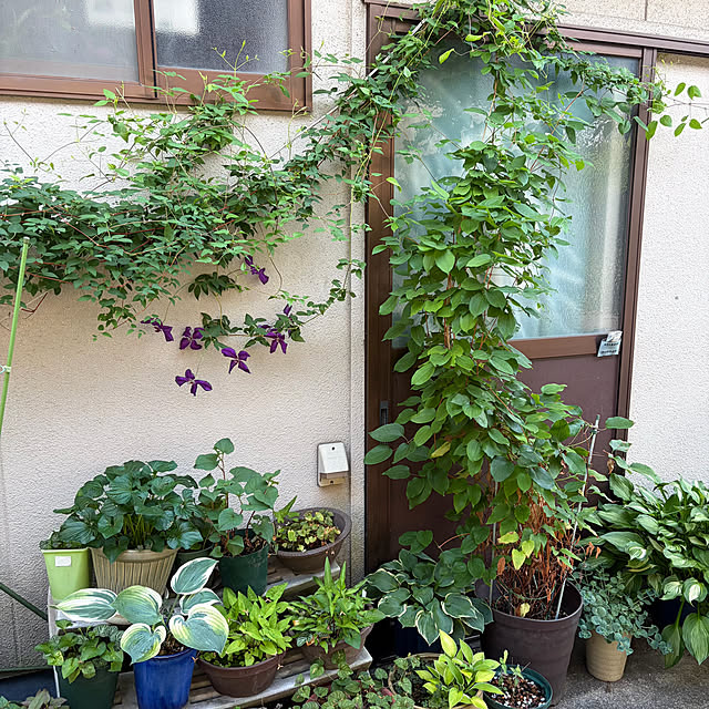 buchiさんの実例写真