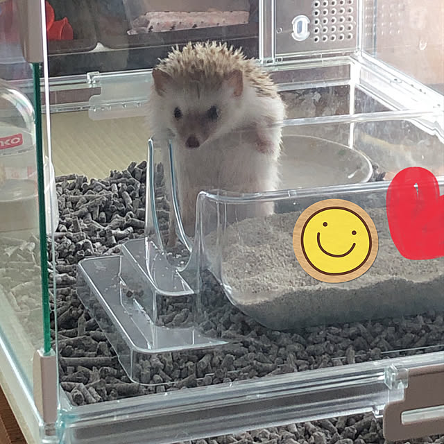 yunyumさんの実例写真