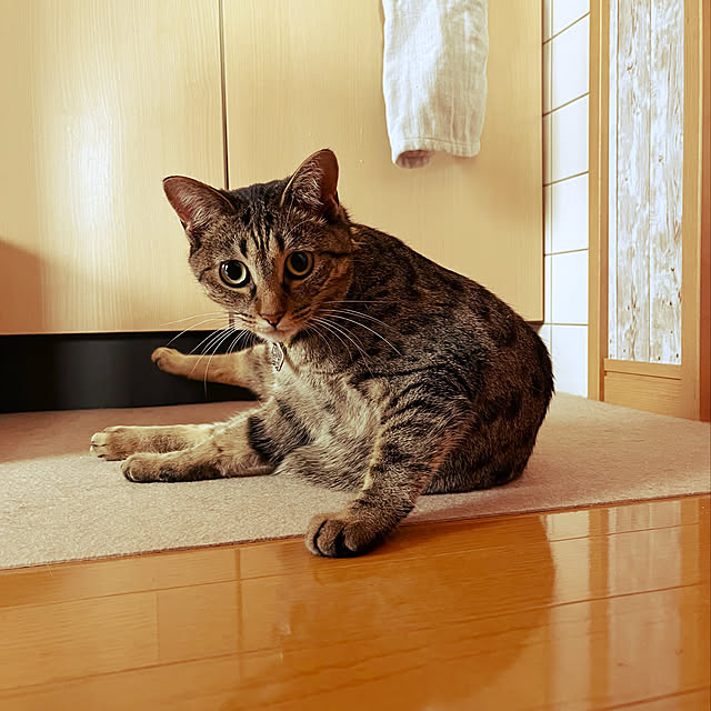 Mさんの実例写真