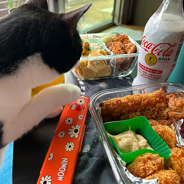 porinさんの部屋