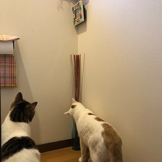 arayanさんの実例写真