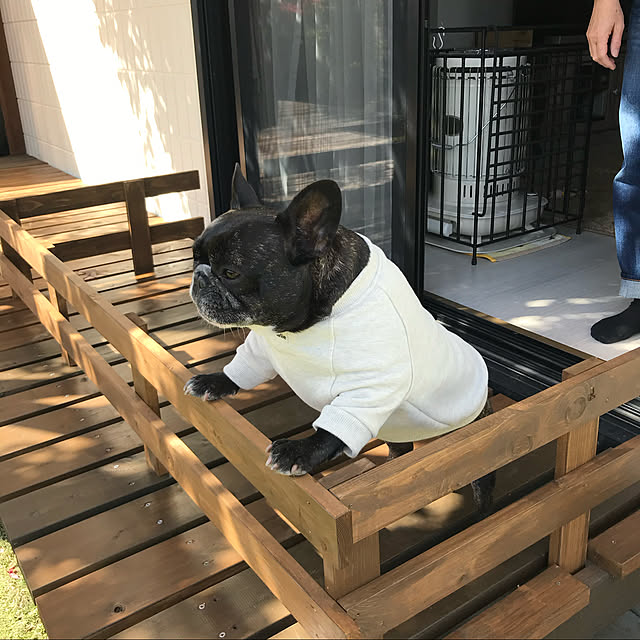 yattamanさんの実例写真