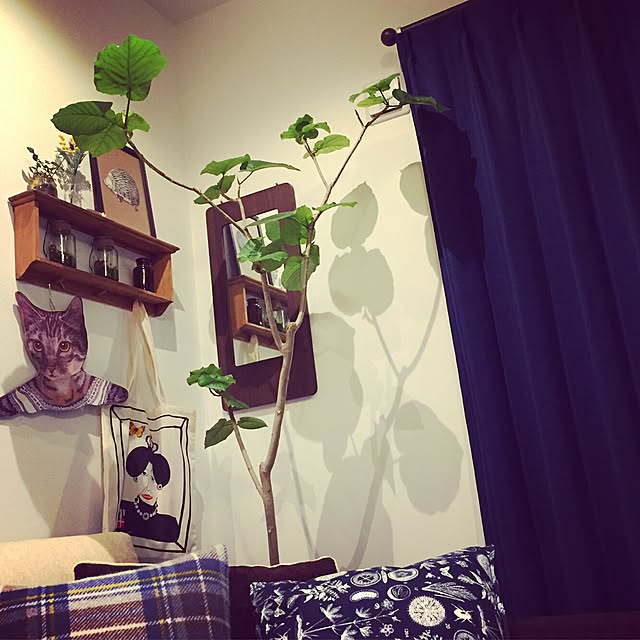 yoshiko14さんの実例写真