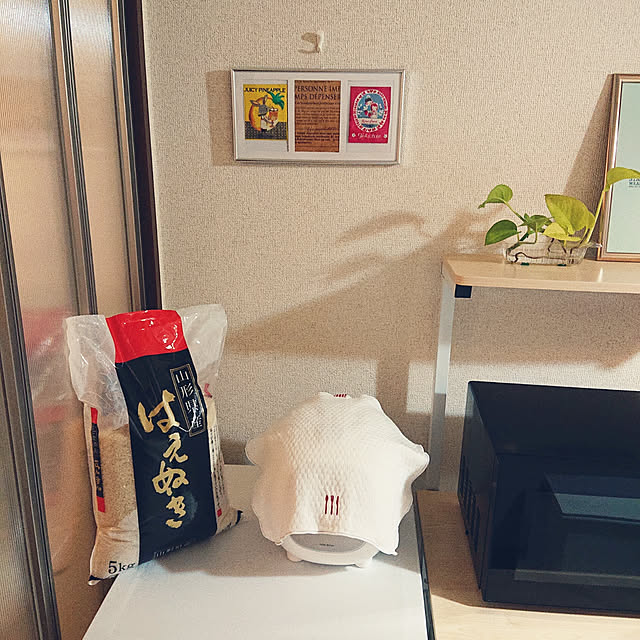 Noriさんの実例写真