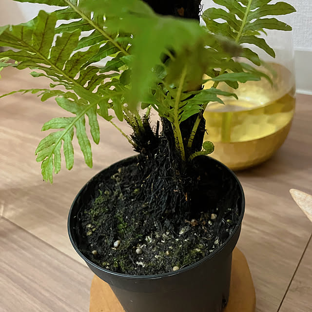 mimoriさんの部屋