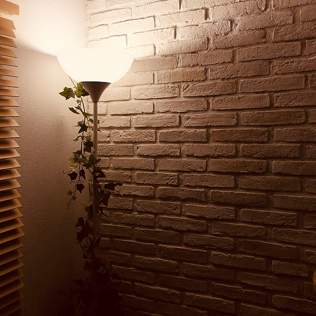 Bluesmanさんの実例写真