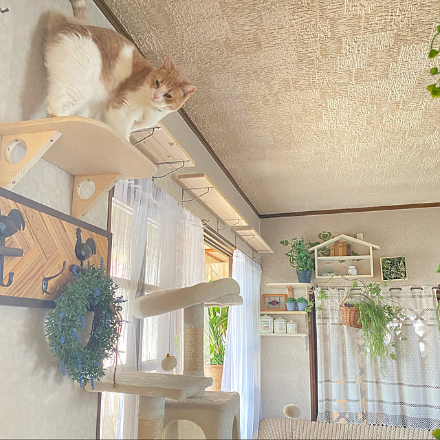 mintteaさんの実例写真
