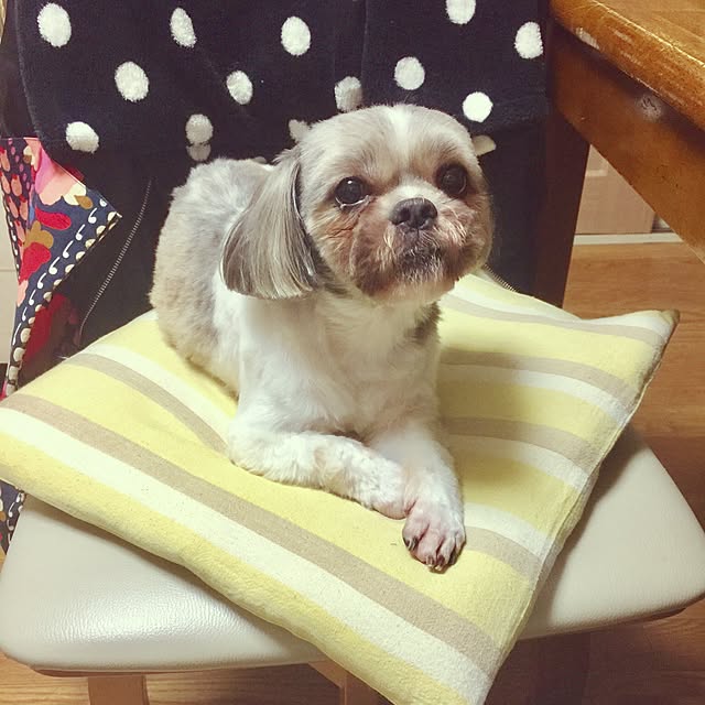 kojiro120513さんの実例写真