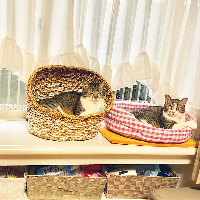 nnmmさんの実例写真