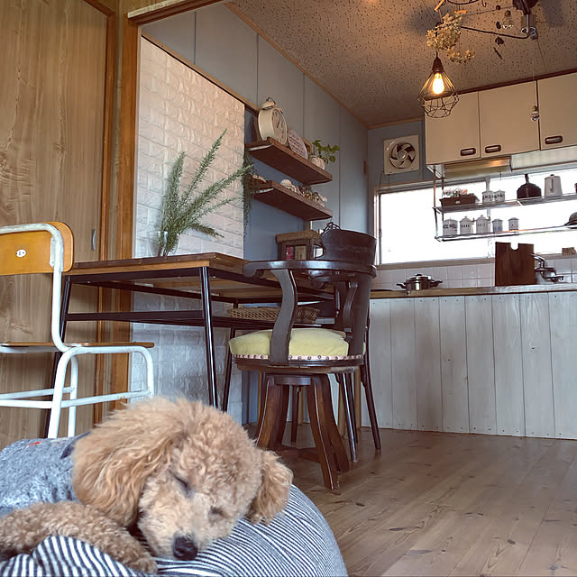 nikoさんの実例写真