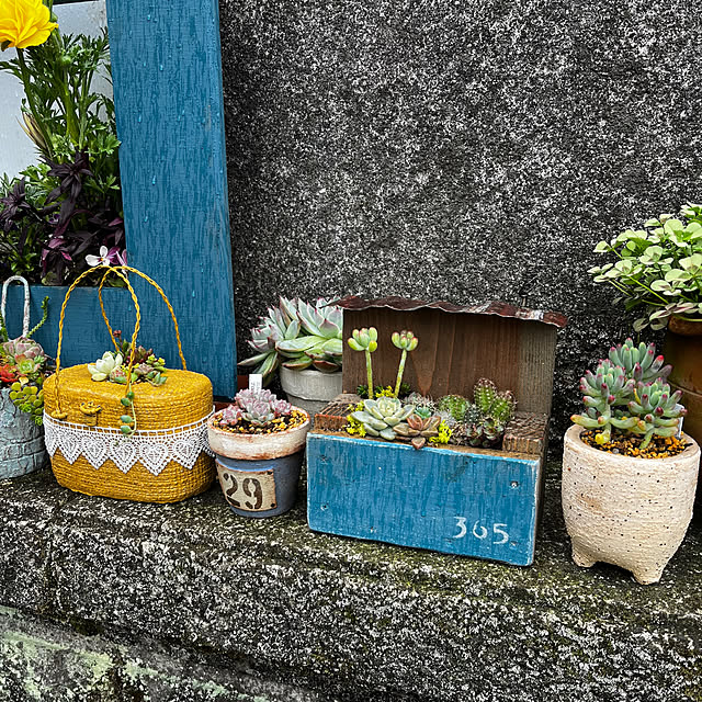 sho-takeさんの部屋