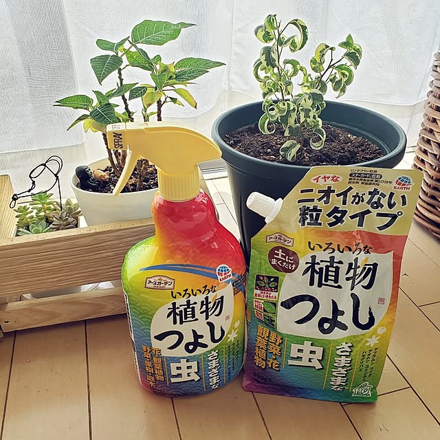 wanidaさんの実例写真