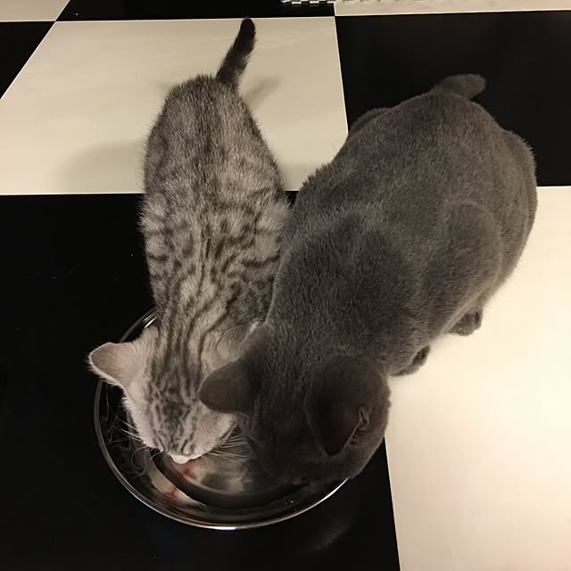 Shojiさんの実例写真
