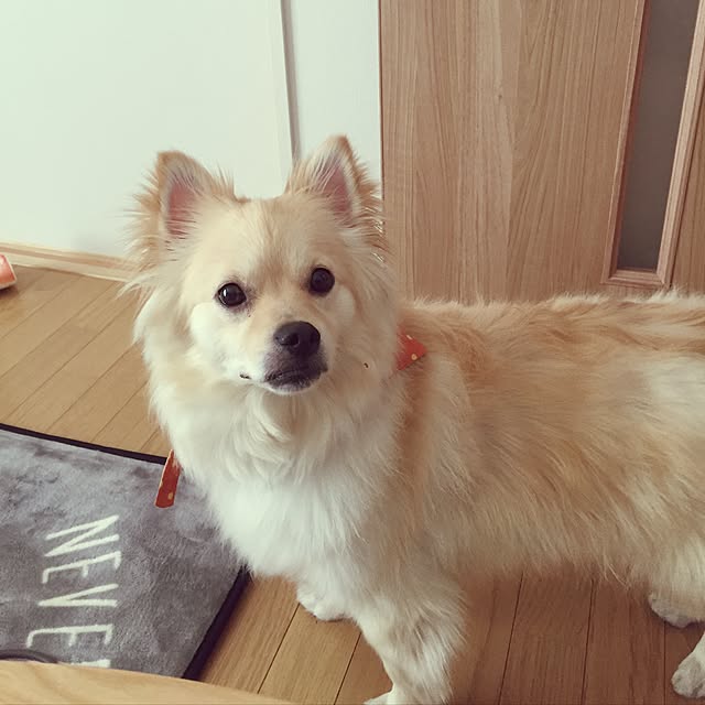 takakoさんの実例写真