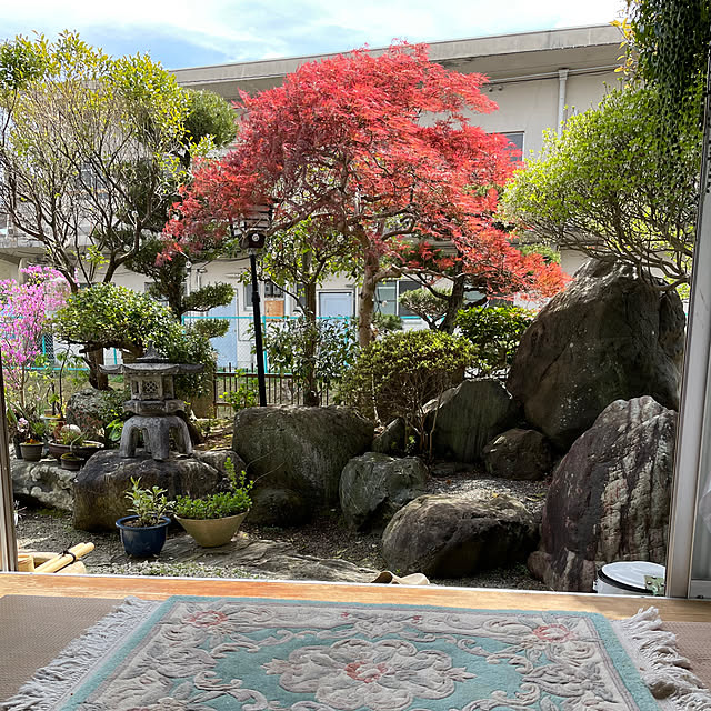 shin0719さんの実例写真