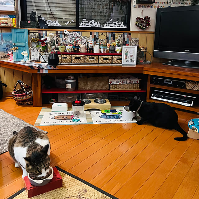 jijiさんの実例写真