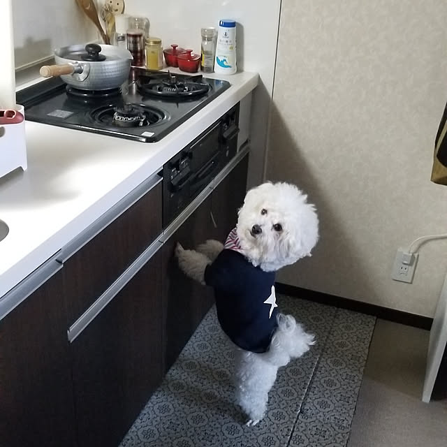 takoさんの実例写真