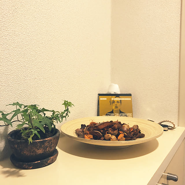 玄関/入り口/観葉植物のインテリア実例 - 2018-06-25 16:28:16