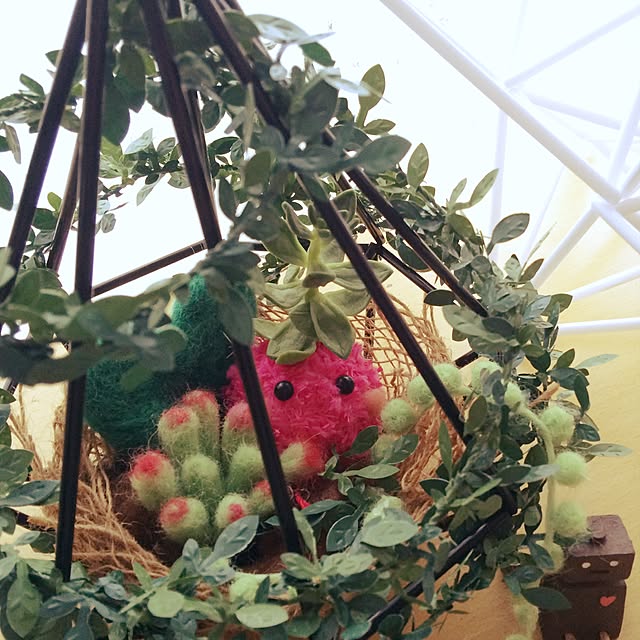 nikoさんの実例写真