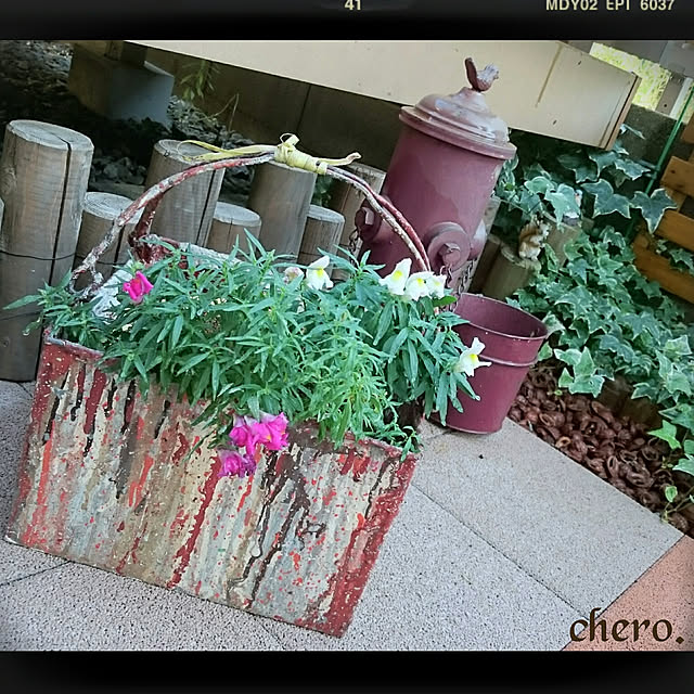 chero.さんの実例写真