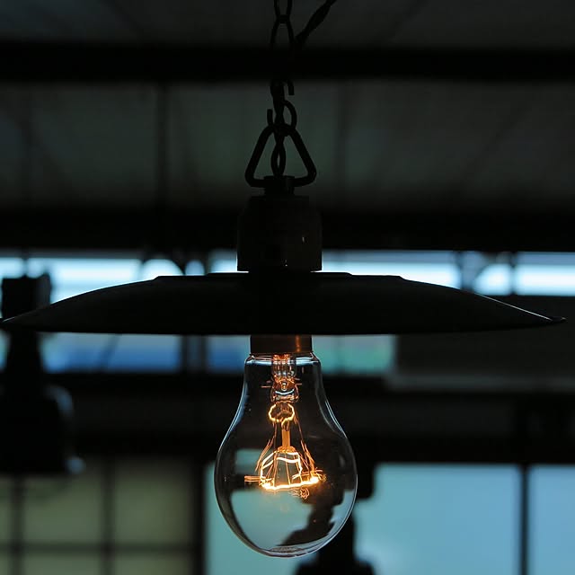 shibainuさんの実例写真