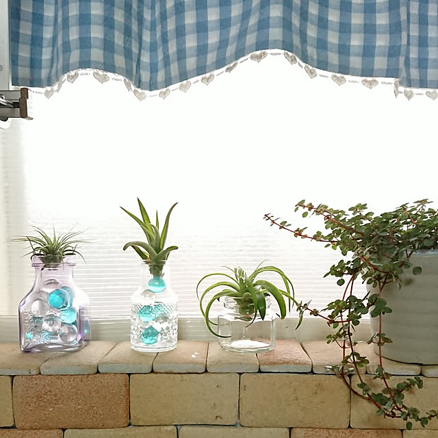 naopyiさんの実例写真