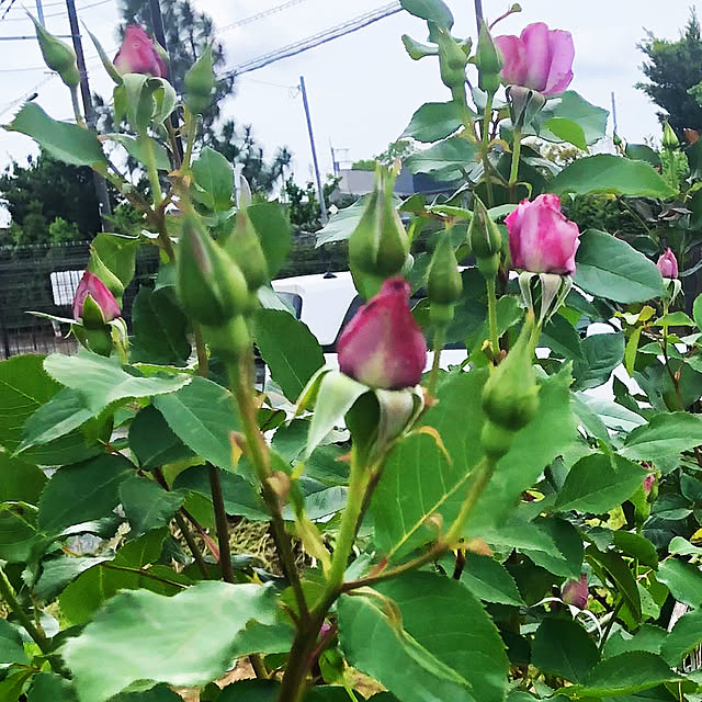 tomoさんの部屋