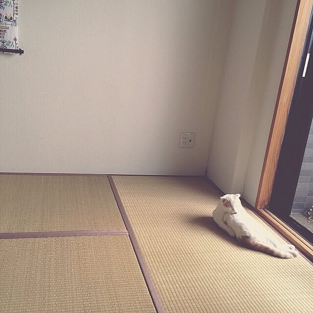 onojiijiさんの実例写真