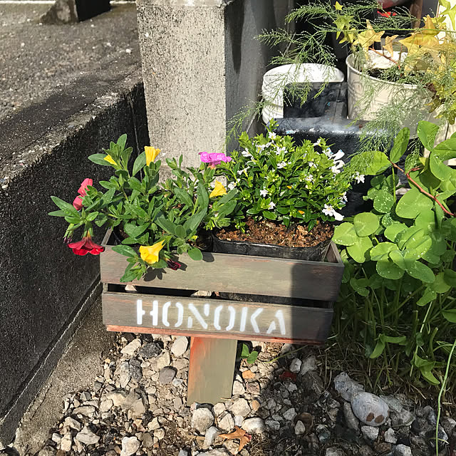 Vakiさんの実例写真