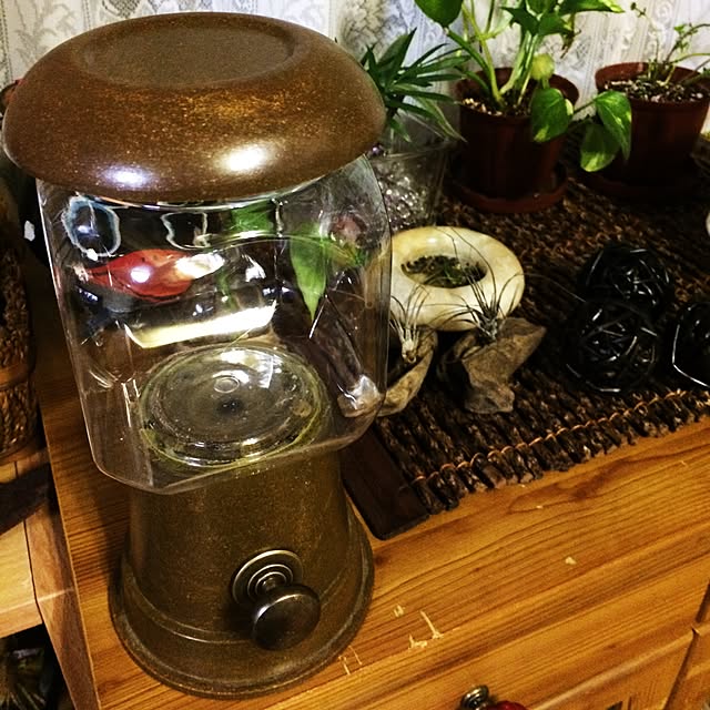 Vanillaさんの実例写真