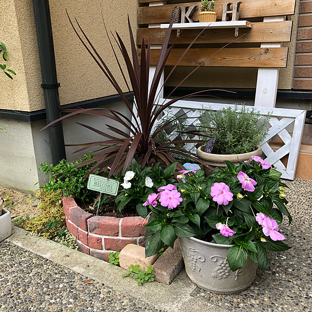 rankoさんの実例写真