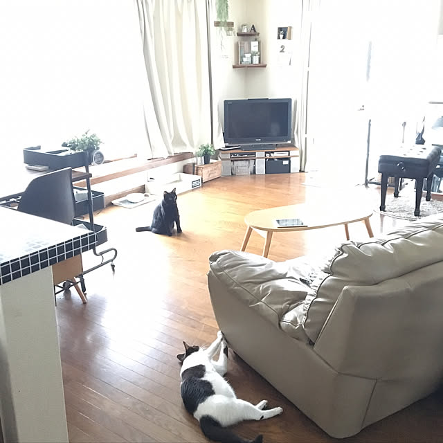mahi1101さんの実例写真