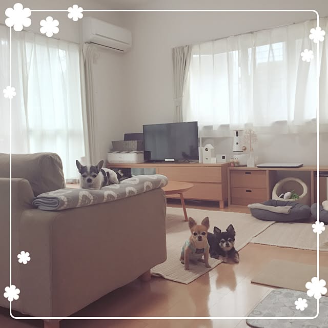 Emiさんの実例写真
