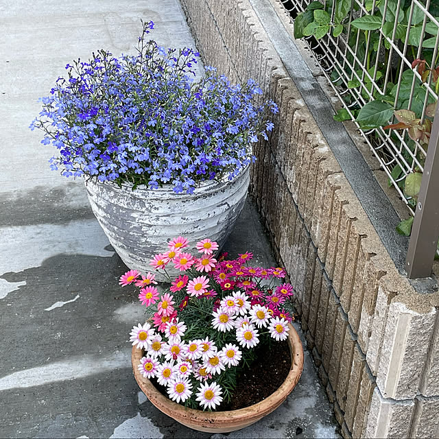 aloha1110さんの実例写真