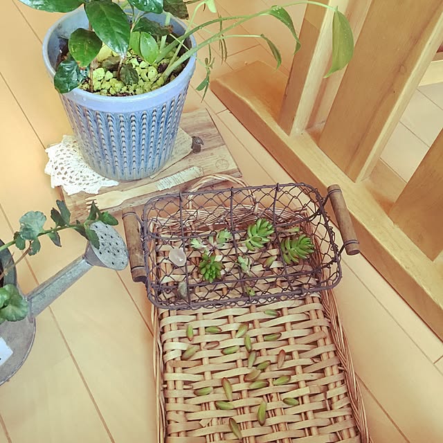 YUMI_avaさんの実例写真