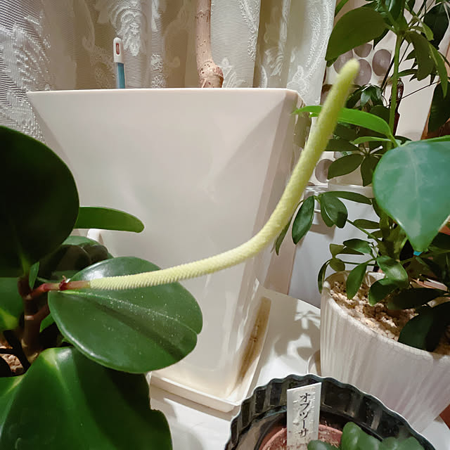 moolさんの部屋