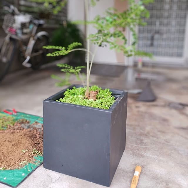 jinさんの部屋