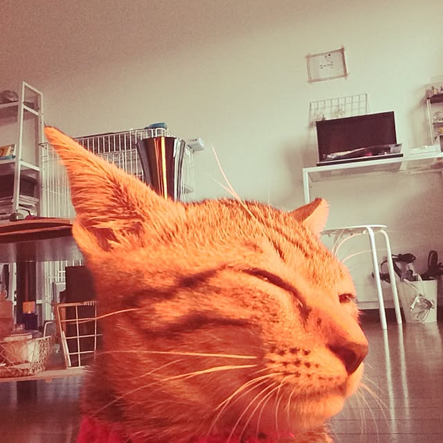 teteさんの実例写真