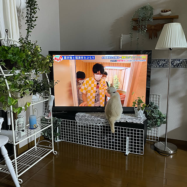 himetanさんの実例写真