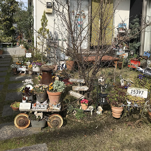 michi-michi39さんの実例写真