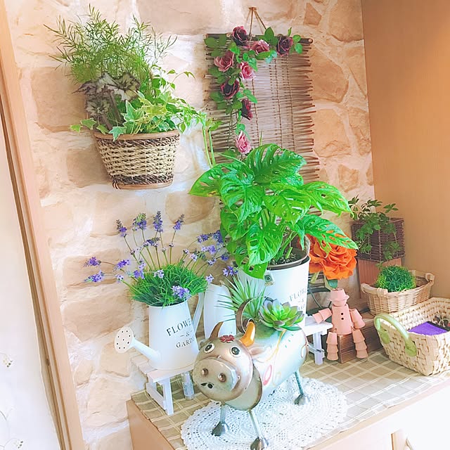 xigyanさんの実例写真